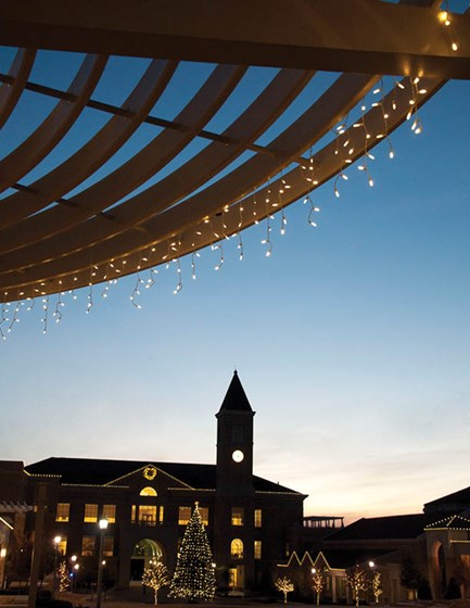 Print Design: TCU Annual Report